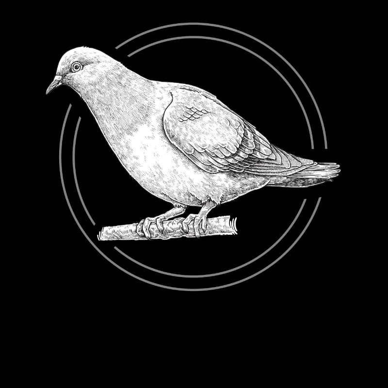 Cadeau de course de pigeon