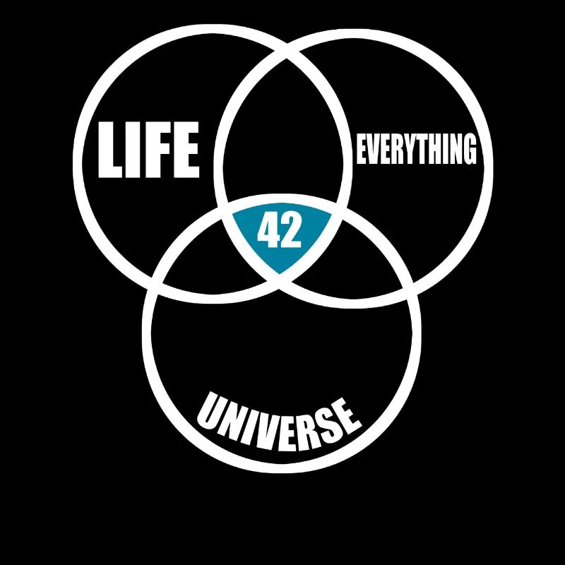 The Answer is 42 Antwort ist 42 Mathe Geschenk