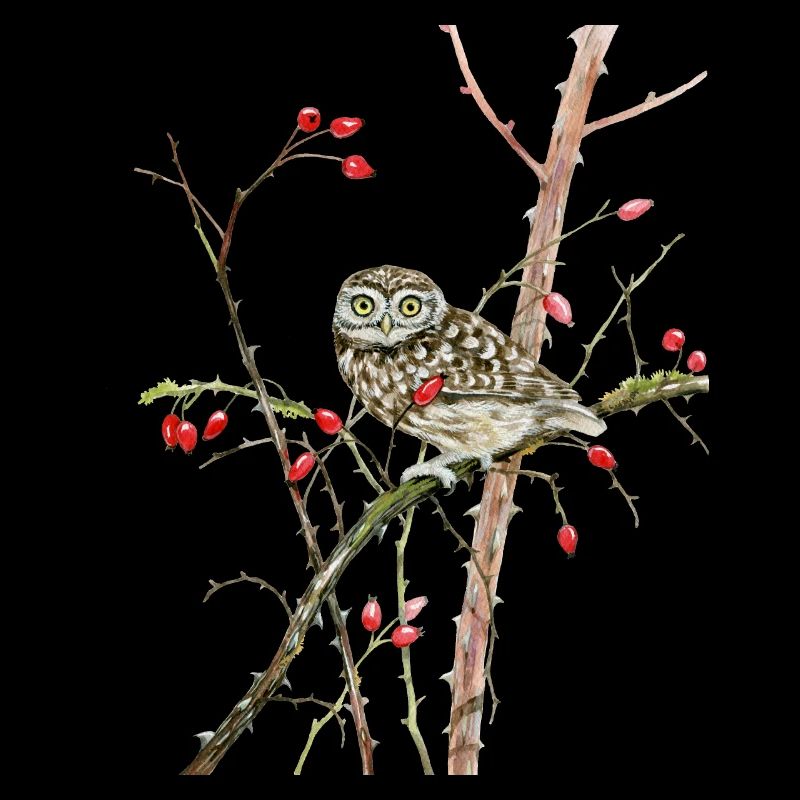 Lovingly hand painted stone owl on branch