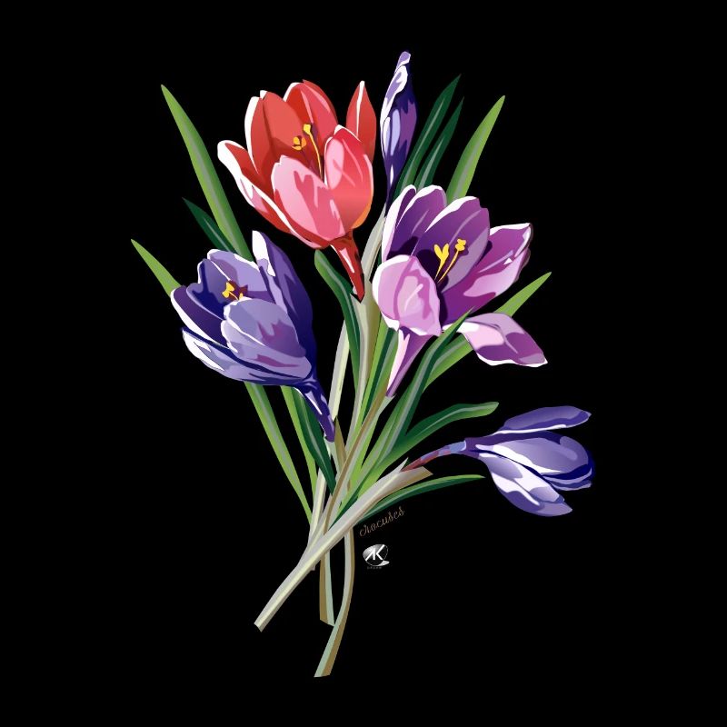 Crocuses illustration