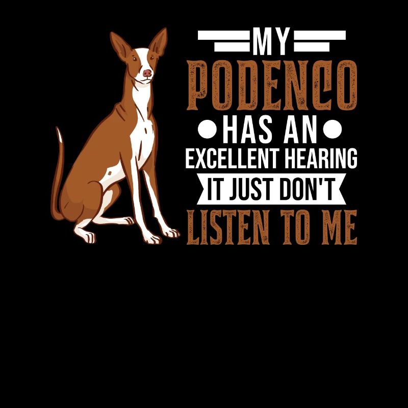 Podenco Spanish Greyhound