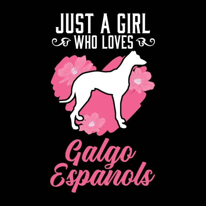 Galgo Espanol Mädchen Spanischer Windhund