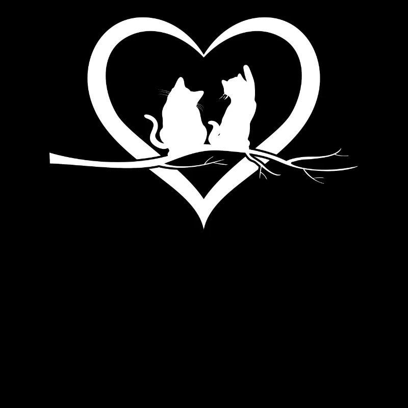 Chats Chat mignon