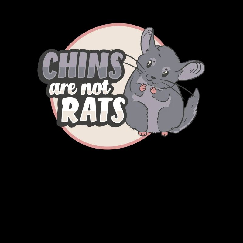 Chinchilla