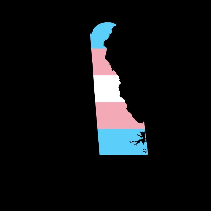 Trans Flag Delaware LGBT Pride Support
