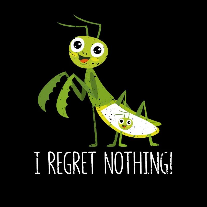 I do not regret anything praying mantis insect funny