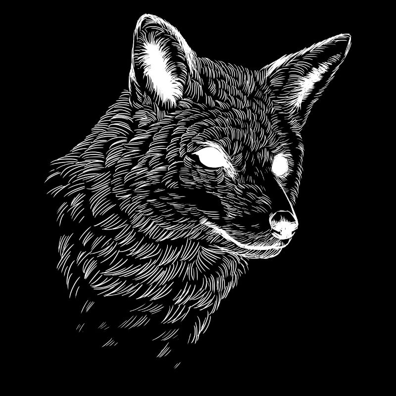 Polarfuchs