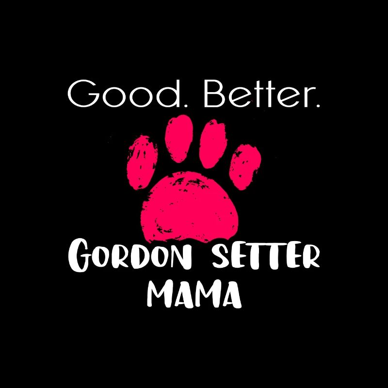 Gordon Setter