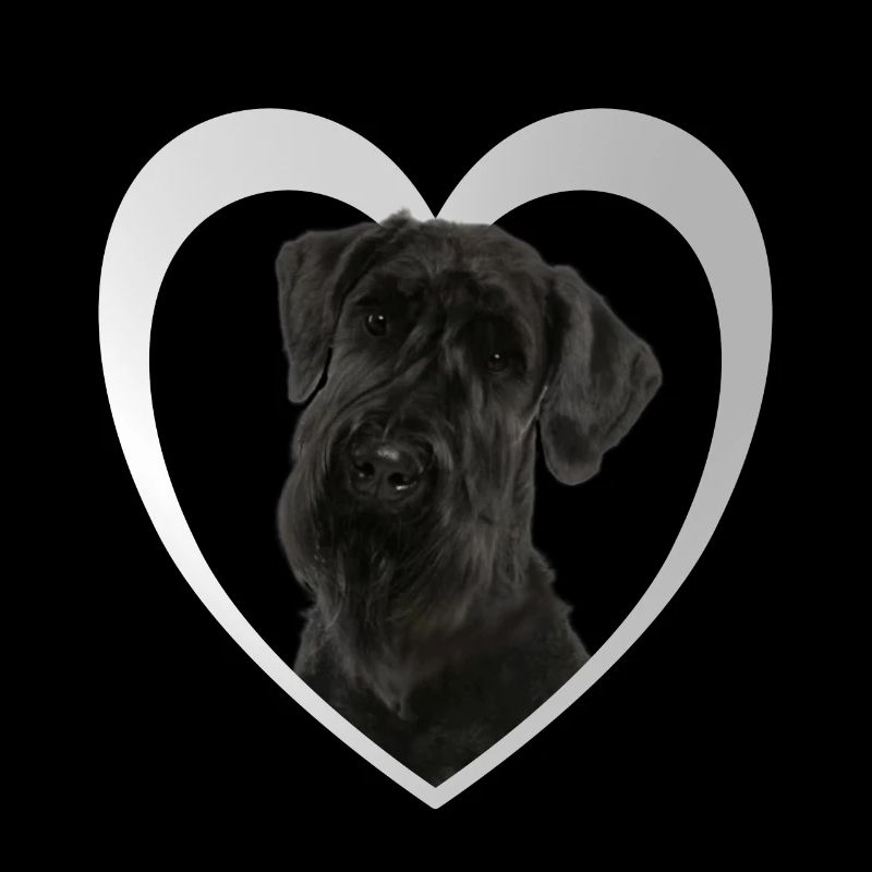 Cœur de Schnauzer géant - J’aime le Schnauzer géant