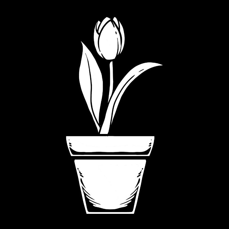 Fleurs de tulipes