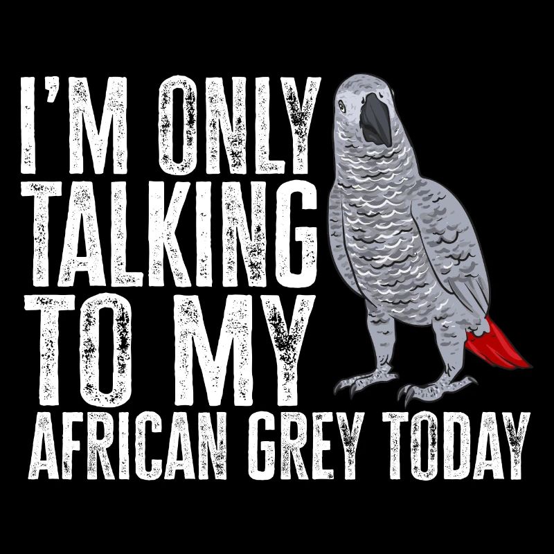 Graupapagei African Grey Parrot Papagei