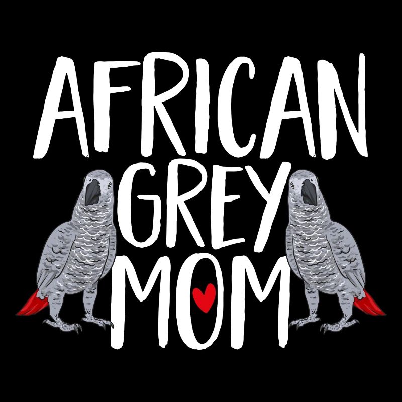 Graupapagei Perroquet gris d’Afrique Papagei