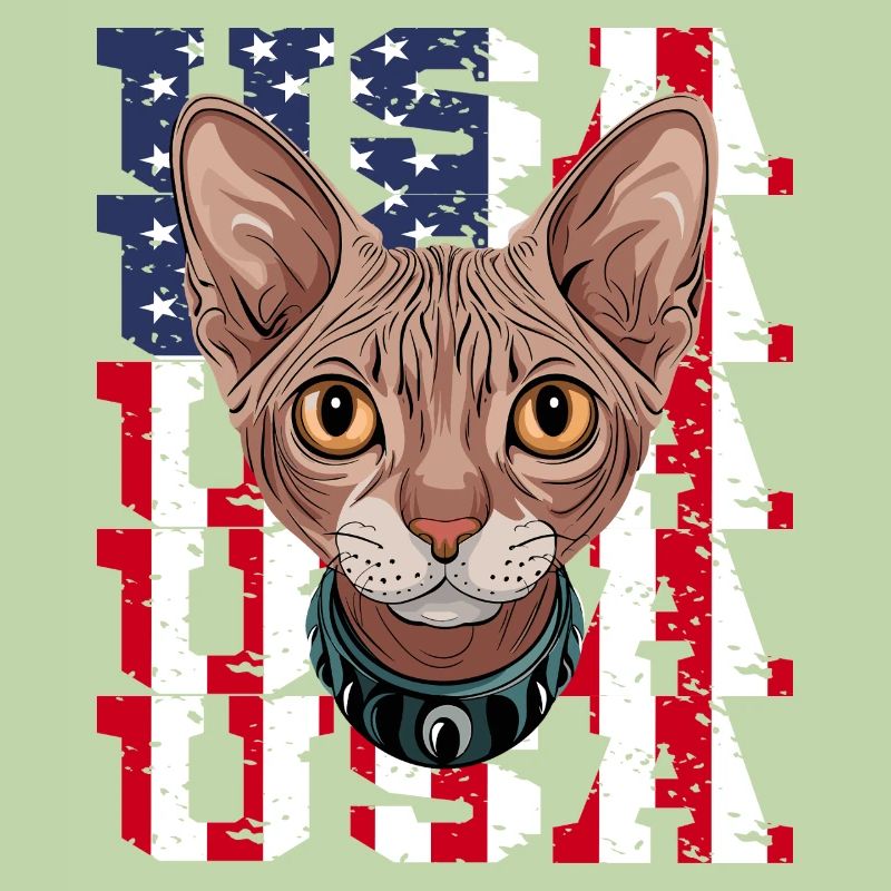 USA Chat Sphynx devant le drapeau