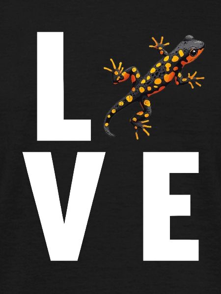 Salamanders Salamander
