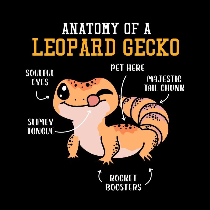Drôle de conception de gecko léopard