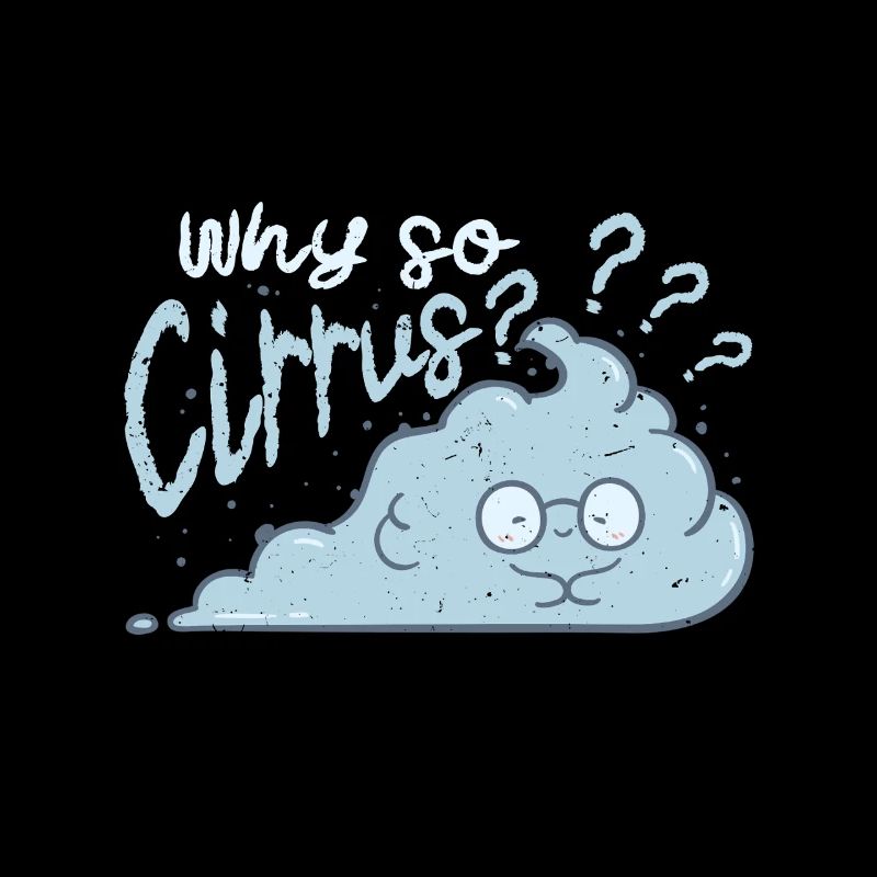 Meteorologist Weather Forecaster Why So Cirrus?