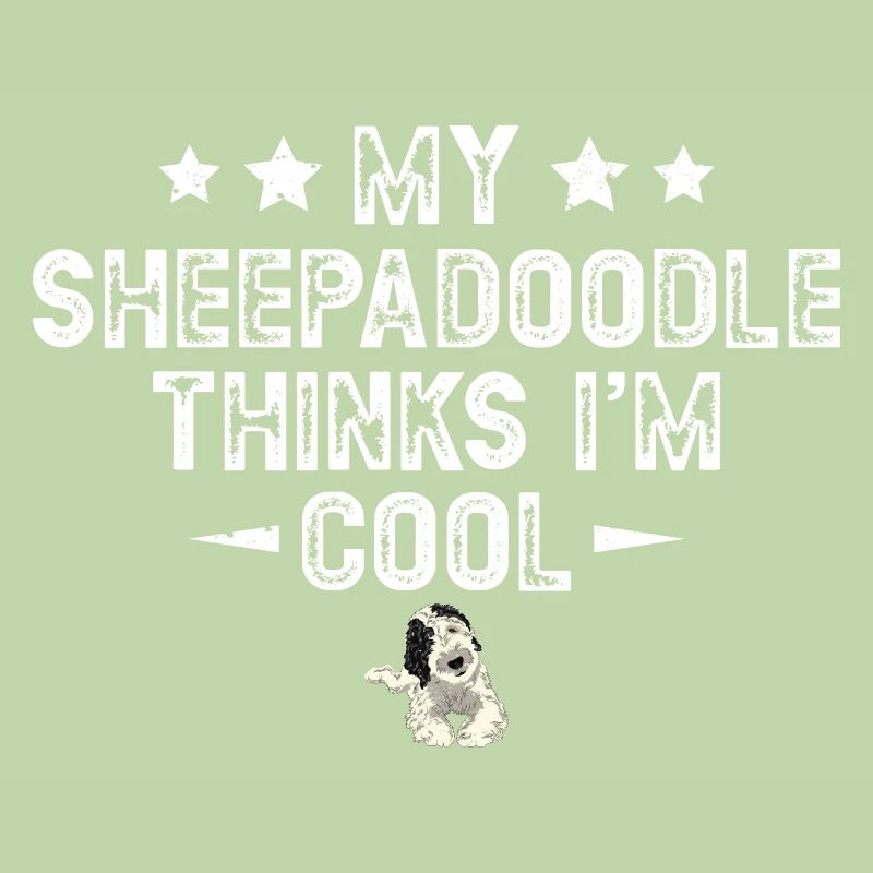Sheepadoodle Doodle Dog