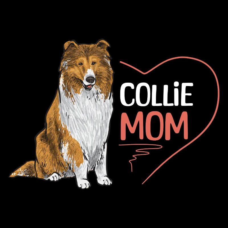 Long-haired Collie Rough Collie Dog