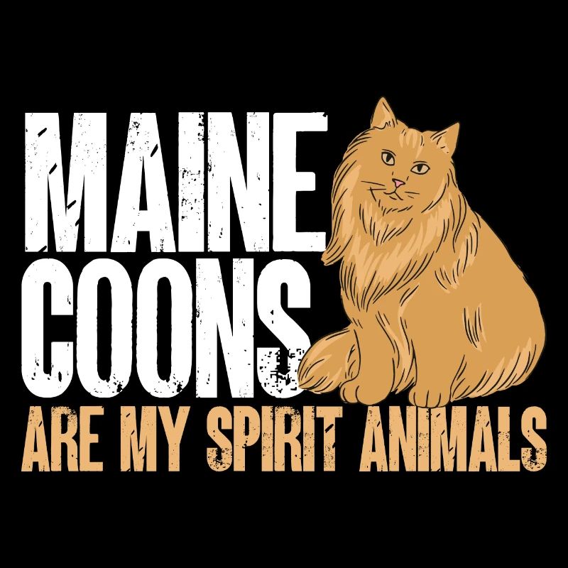 Maine Coon Chat