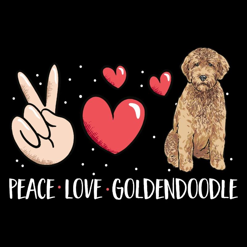 Goldendoodle Doodle Chien