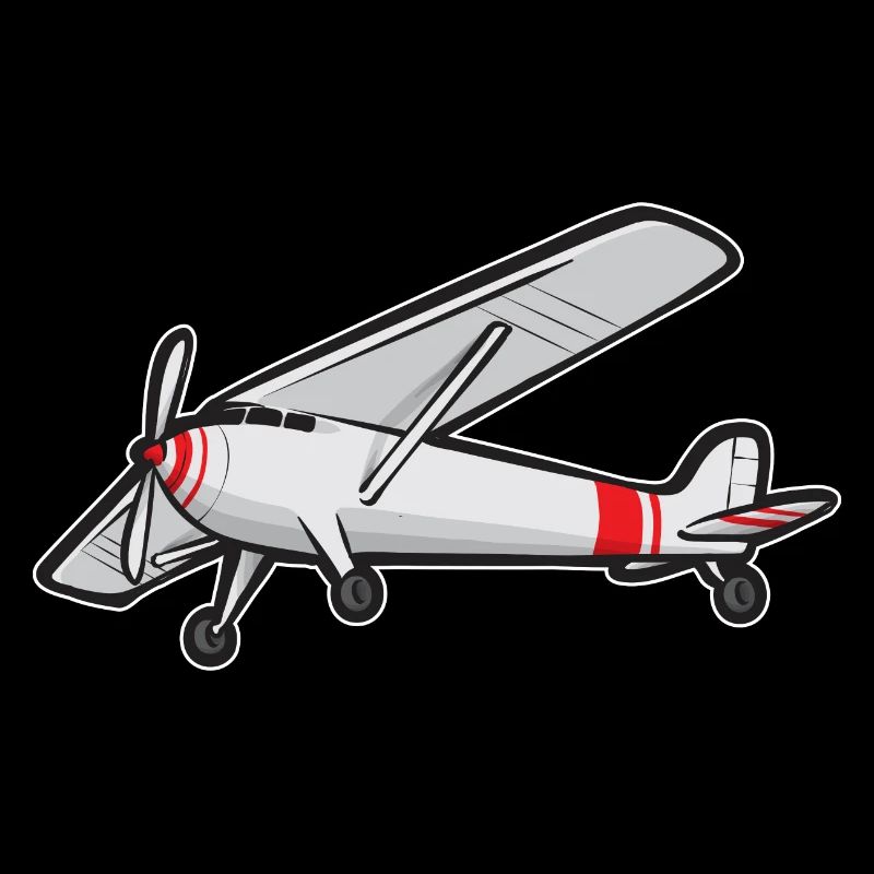 Remote Controlled Airplane Model Airplane