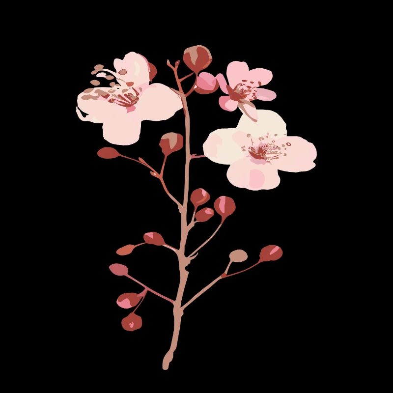 Blossoms from the cherry tree sakura