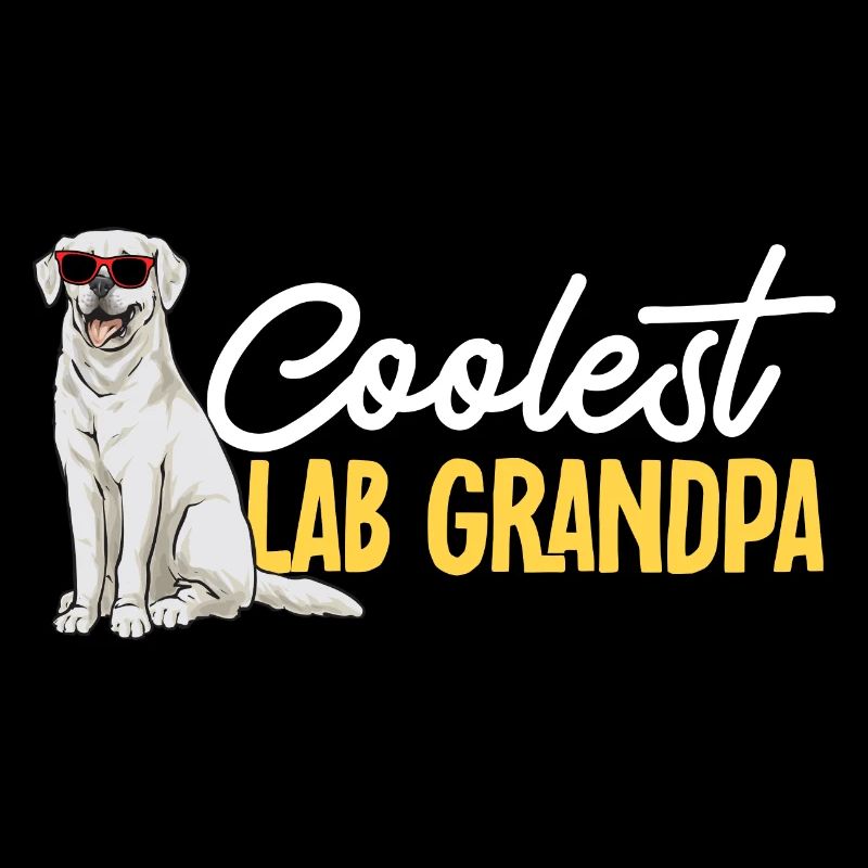 Labrador Retriever blanc Labrador Labrador blanc