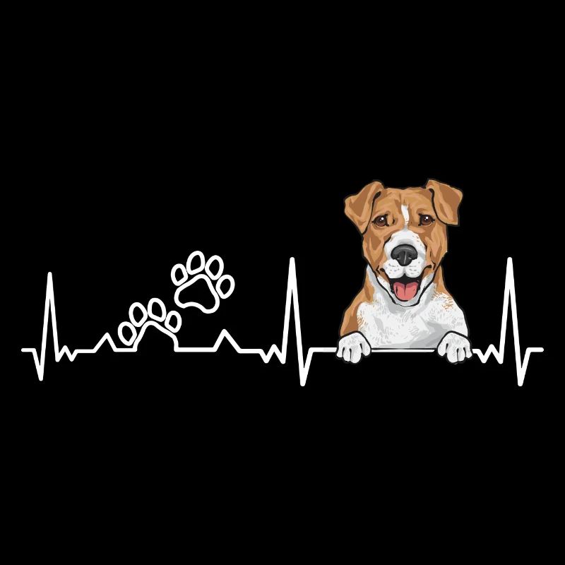 Jack Russell Terrier