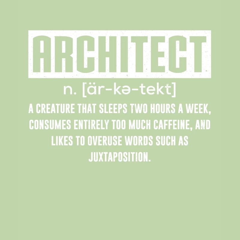 Architect Architect