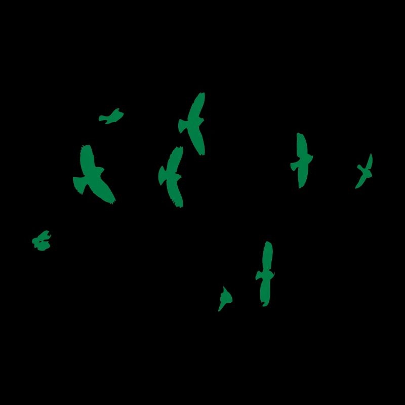 Oiseaux dans le ciel