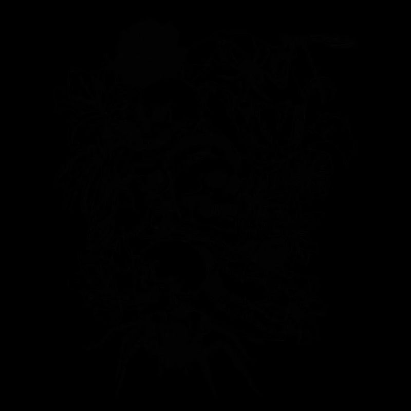 Skulls-and-Spiders