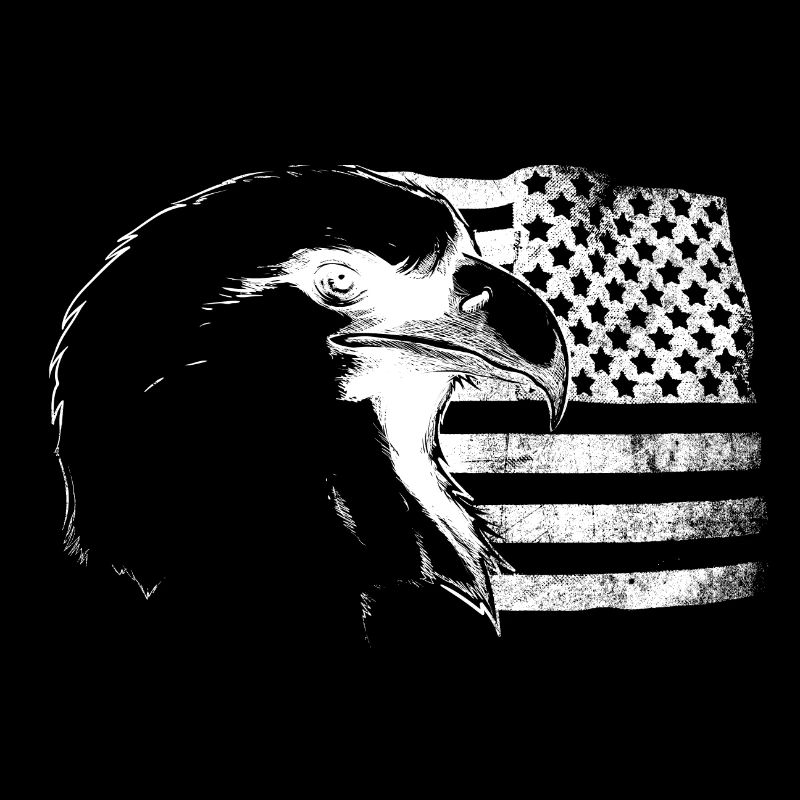 American Flag With Eagle White