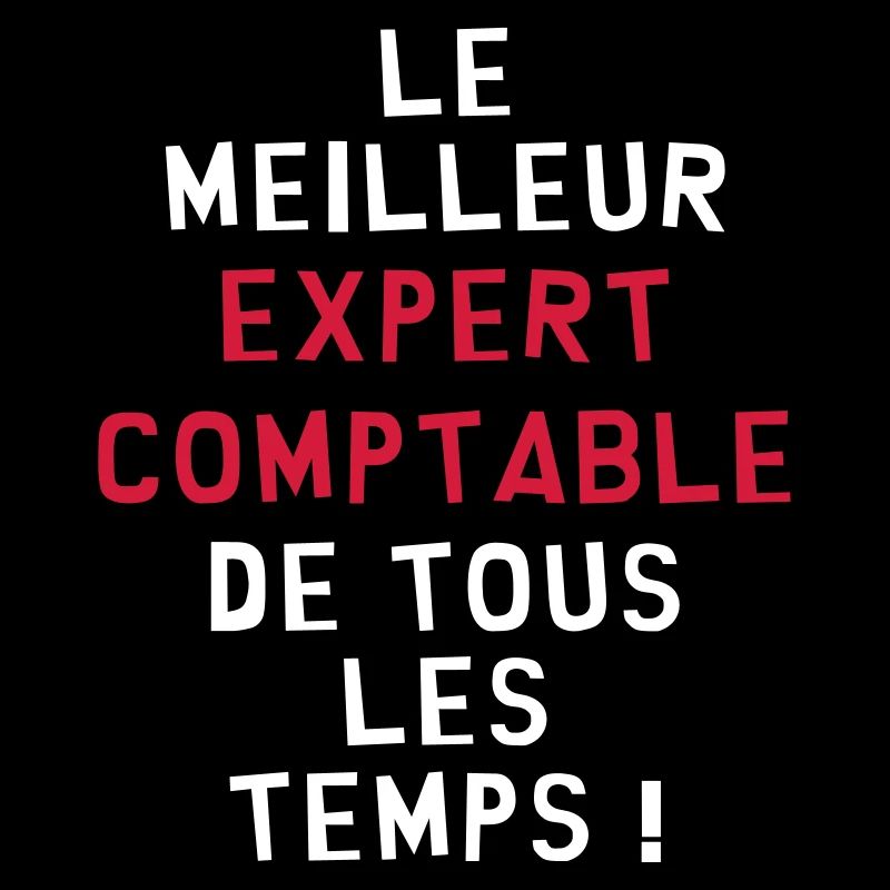 Expert Comptable / Comptabilité / Comptable /
