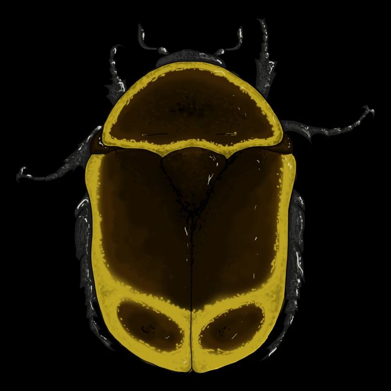 Flower Beetle