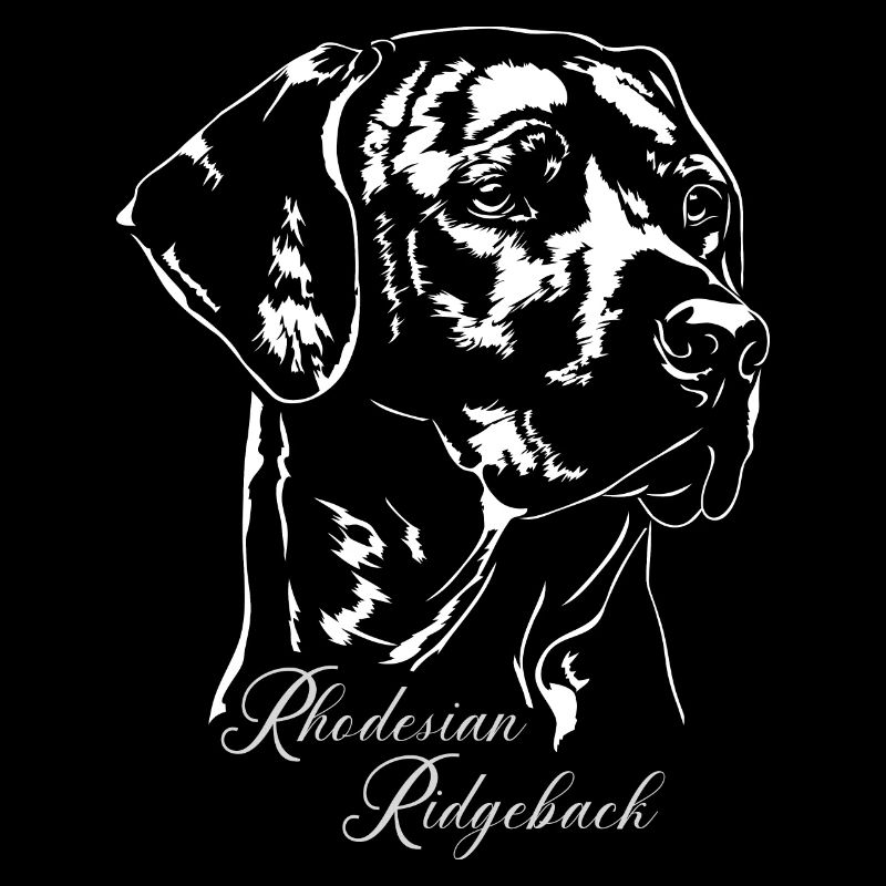 RHODESIAN RIDGEBACK Wilsigns Chien Portrait