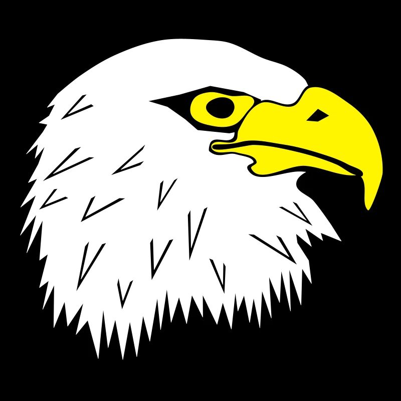 Bald eagle white headed seaeagle head motif