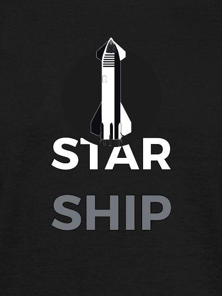 SpaceX STARSHIP vit