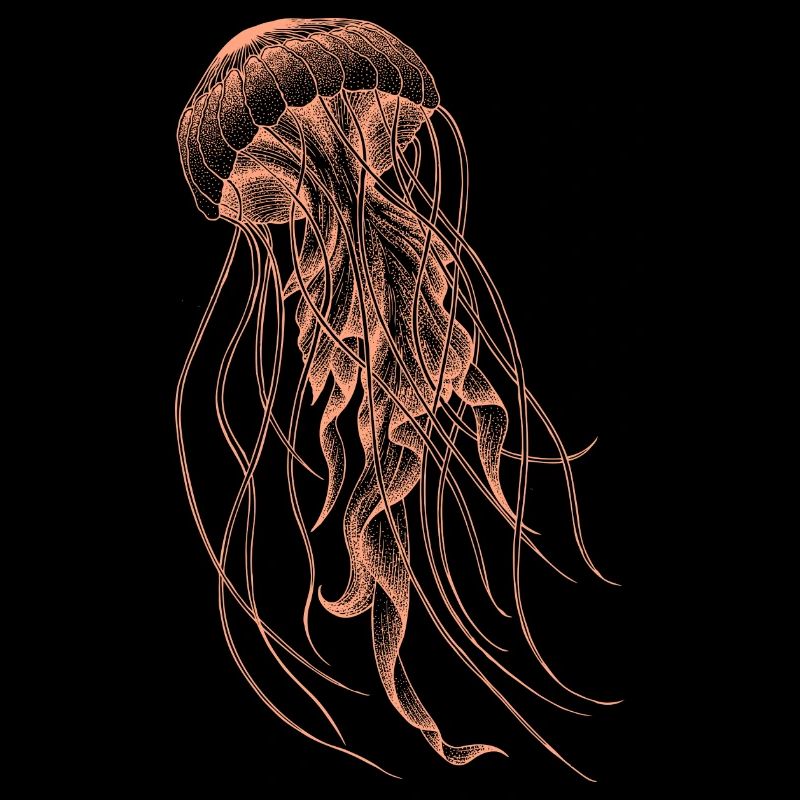 Conception de méduses