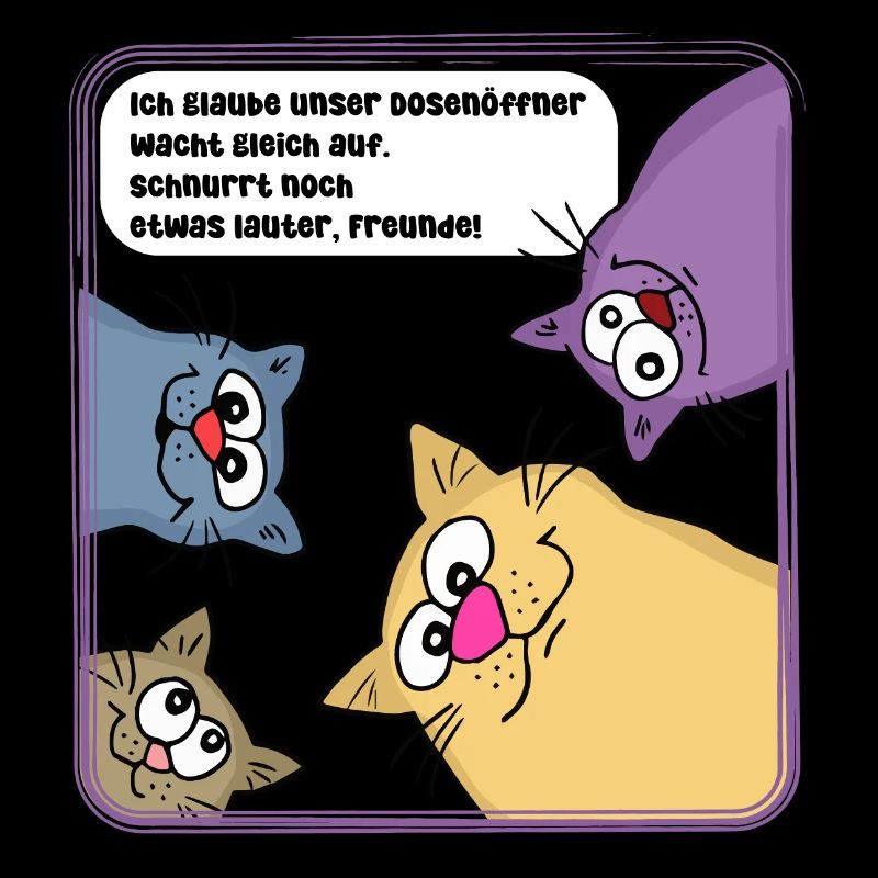 Chats le matin