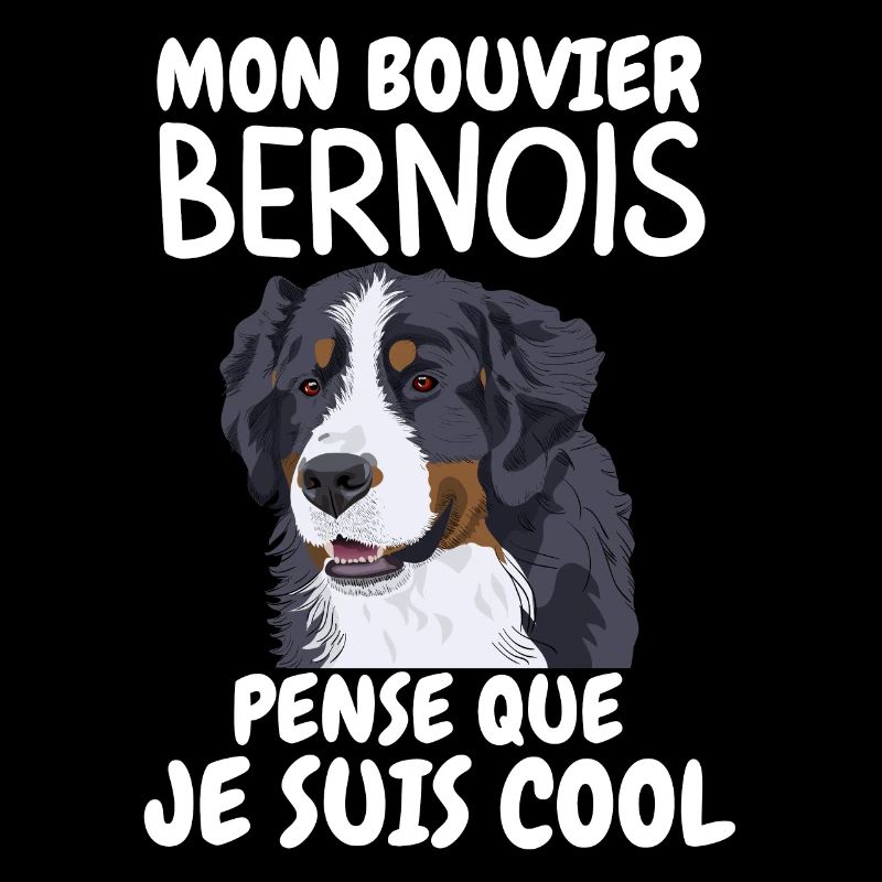 bouvier bernois 2