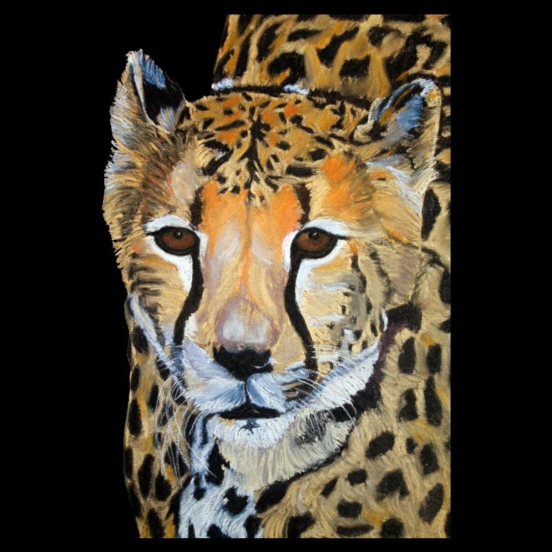 Gepard Zeichnung