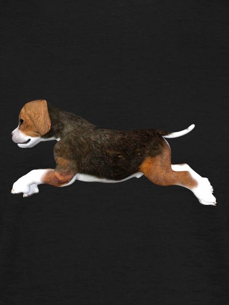 Chiot Beagle