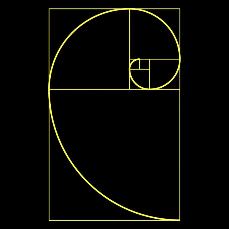 Fibonacci | Mathématiques, géométrie, designs cool