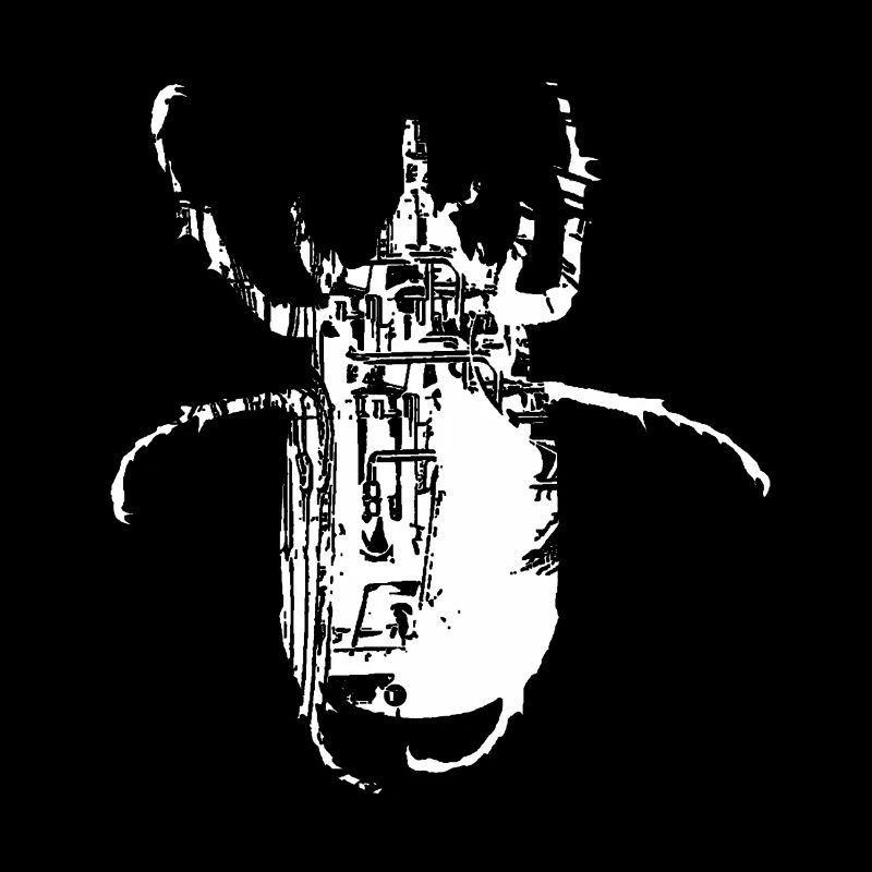 scarabée-Hex2A