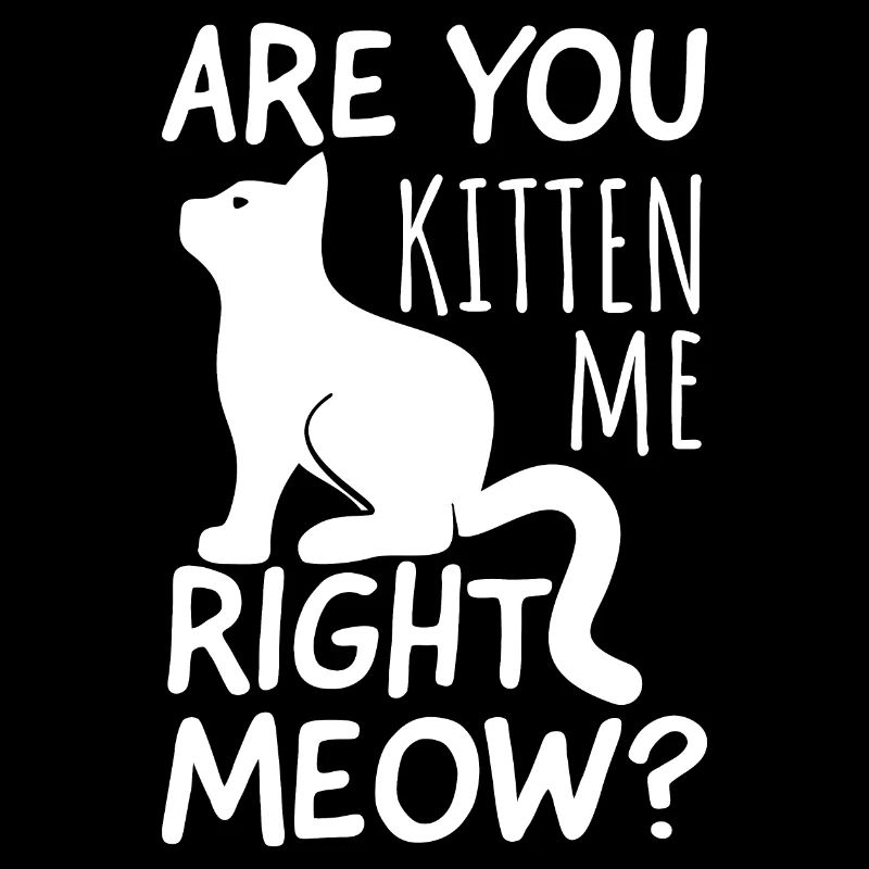 Kitten me right meow ? - Propriétaire de chat sort