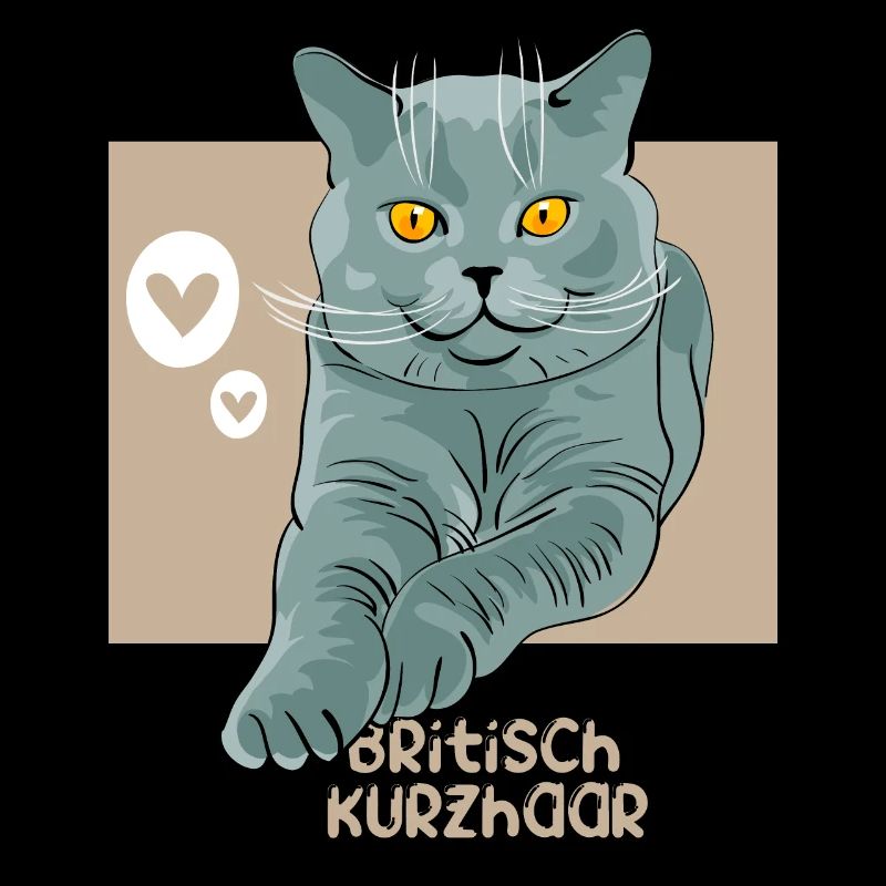 britisch kurzhaar Katze