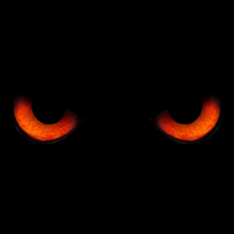 eyes