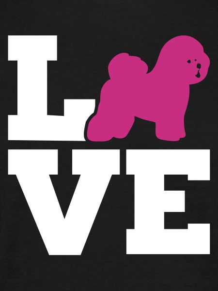 Bichon Frise