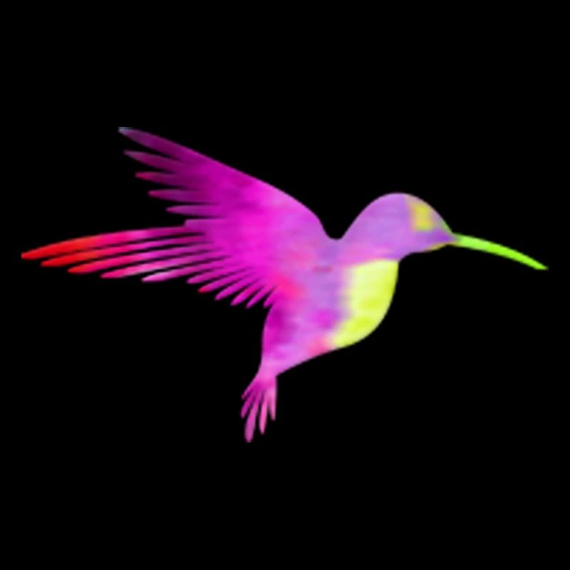 Kolibri bunt