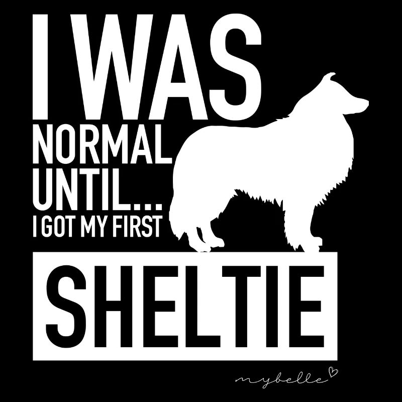 Sheltie